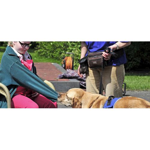 Sanders steunt Personal Service Dogs