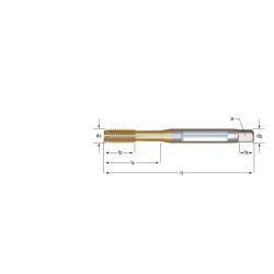 M Machineroltap HSS-E PM TiN gecoat met koelkanaal, vorm C | E289