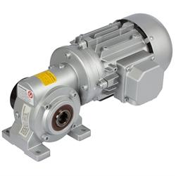 Worm Geared Motors RH, up to 32 NM, 18 to 207 rpm