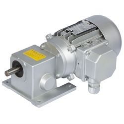 Worm Geared Motors RL, up to 7.8 Nm, 0.9 to 224 rpm