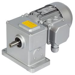 Worm Geared Motors RM, up to 36 Nm, 0.6 to 56 rpm