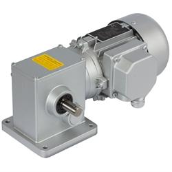 Helical Worm Geared Motors SRM, up to 25 Nm, 2.8 to 224 rpm